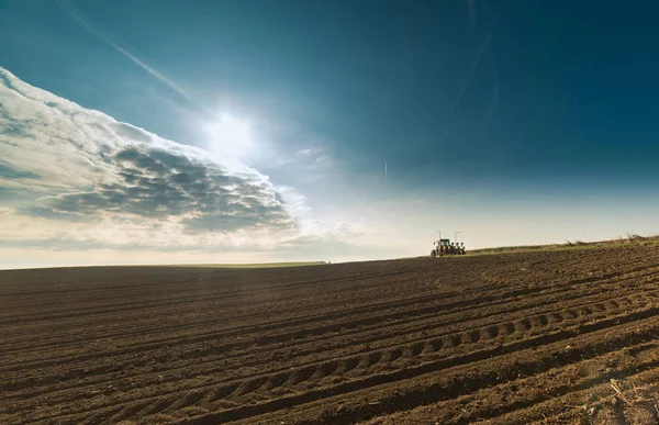 Pšeničné pole ve slunečný letní den — Stock fotografie