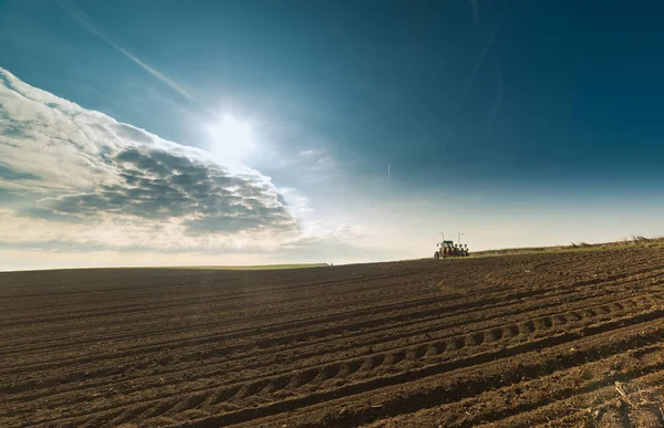 Campo di grano nella soleggiata giornata estiva — Foto Stock