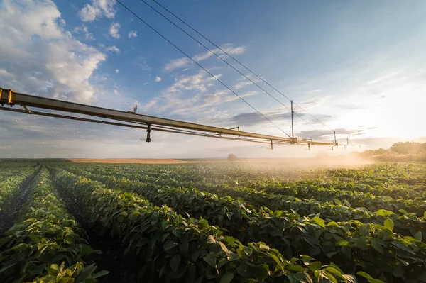 Sistema di irrigazione che innaffia un raccolto di soia — Foto Stock