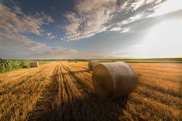 Bellissimo paesaggio del campo di grano agricolo - bundle rotondi — Foto Stock