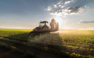 Soya sahada böcek ilacı püskürtme traktör  