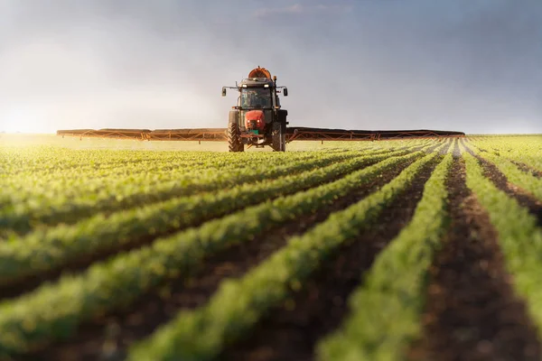 Traktor bespruta sojabönor fält — Stockfoto