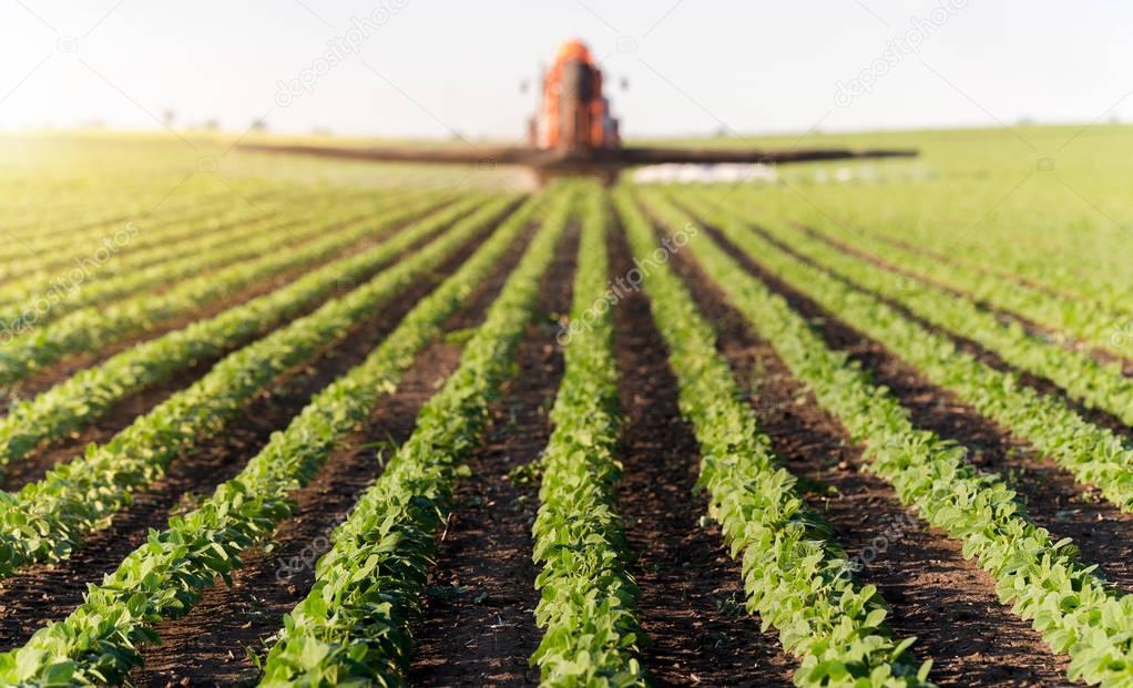 Tractor spraying soybean field 