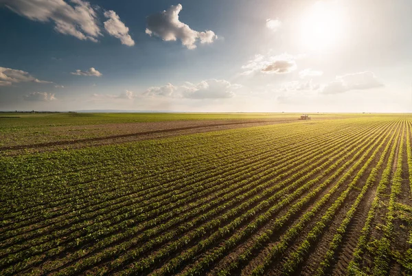 Trekker soja veld spuiten bij spring — Stockfoto