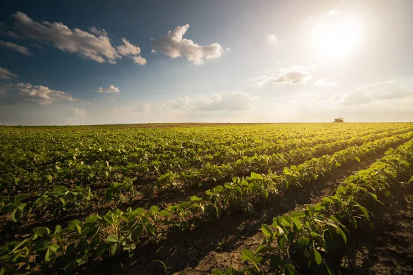 Trator pulverizando campo de soja na primavera — Fotografia de Stock