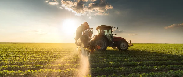 Trator pulverizando campo de soja na primavera — Fotografia de Stock