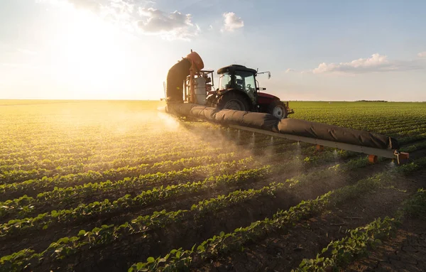 Tractor spraying soybean field at spring — Stock Photo, Image