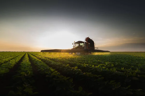 Trator pulverizando campo de soja na primavera — Fotografia de Stock