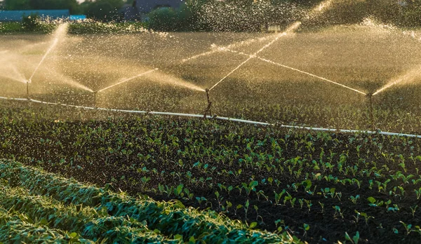 Sistema de irrigação rega de uma cultura de soja — Fotografia de Stock