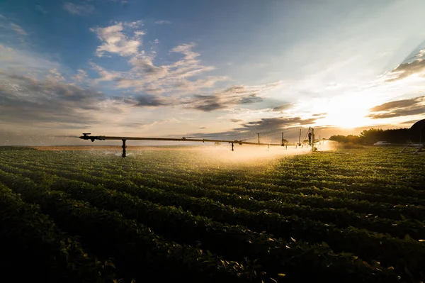 soya fasulyesi bir ürün sulama sulama sistemi