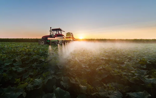 Traktor versprüht Sojabohnenfeld — Stockfoto