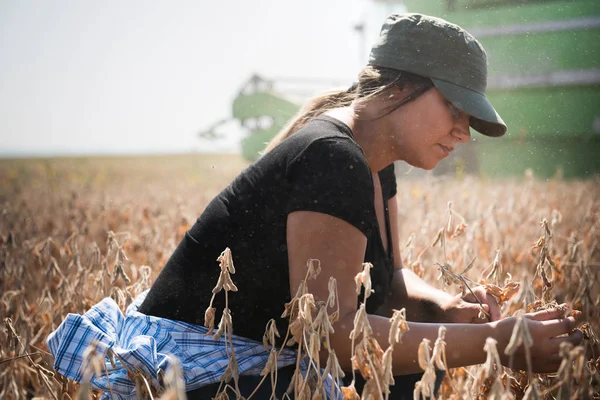 年轻的农夫女孩检测大豆植物收获期 — 图库照片