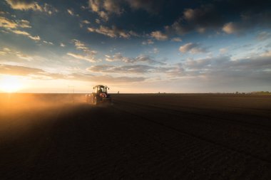 Çiftçi tohum - tarımsal alan bitkileri Ekim traktör ile