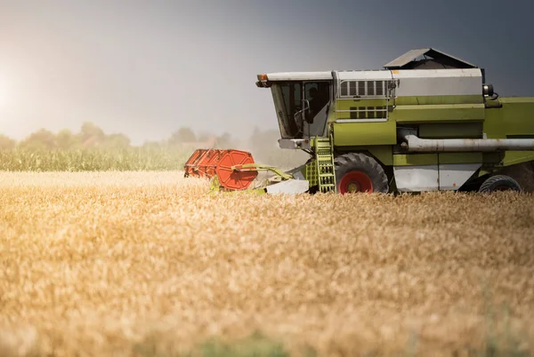 Panen ladang gandum di musim panas — Stok Foto
