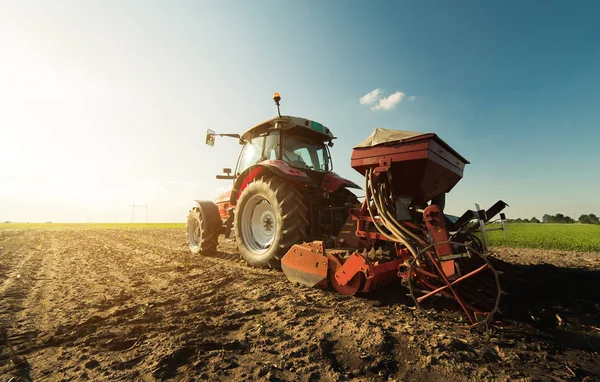 Çiftçi tohum - tarımsal alan bitkileri Ekim traktör ile