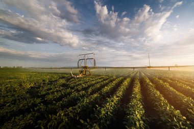soya fasulyesi bir ürün sulama sulama sistemi