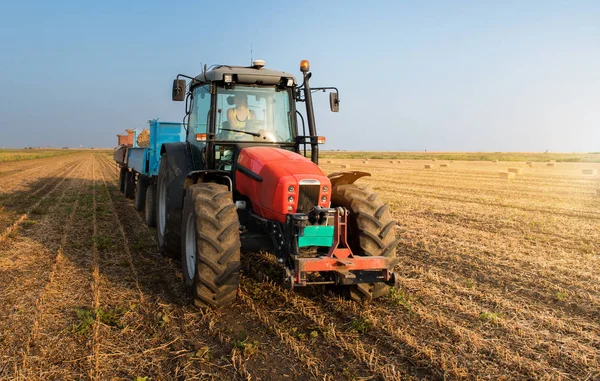 Hermosa, joven granjero está conduciendo tractor — Foto de Stock