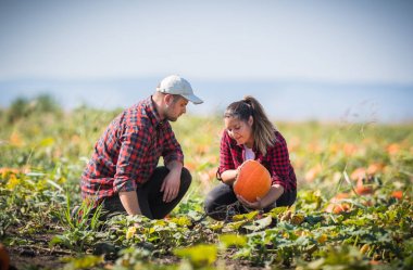 Alan - Thanksgiv adlı dev kabak hasat iki genç çiftçiler