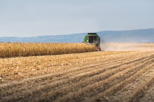 Raccolta del campo di mais con mietitrebbia — Foto Stock