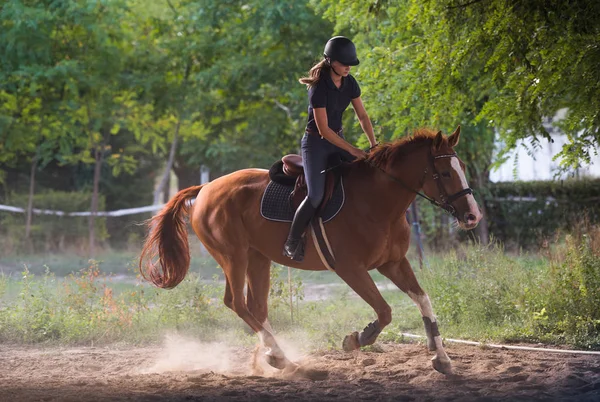 バックライト付きで馬に乗って若いきれいな女の子は、背後にある葉します。 — ストック写真