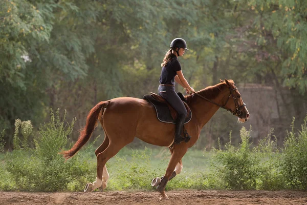 Menina bonita nova montando um cavalo com folhas retroiluminadas para trás — Fotografia de Stock