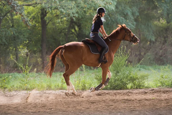 Menina bonita nova montando um cavalo com folhas retroiluminadas para trás — Fotografia de Stock