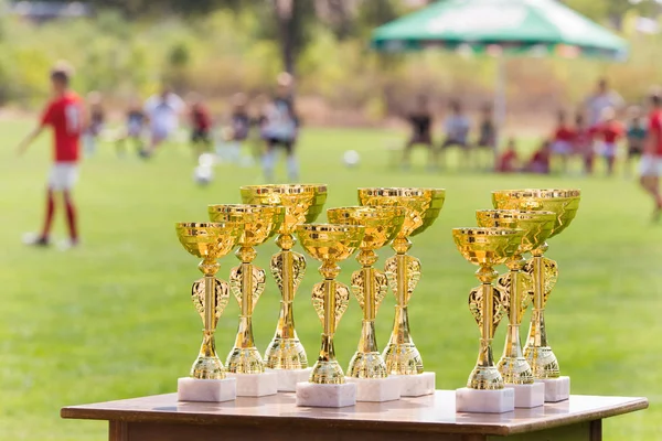 Beautiful champion golden trophy cups for winners in soccer comp