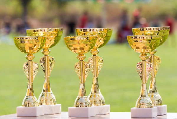 Beautiful champion golden trophy cups for winners in soccer comp