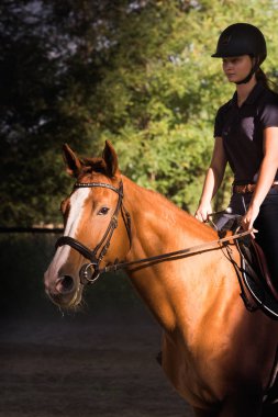 Genç güzel kız arkadan aydınlatmalı ile bir at binme bırakıyor 