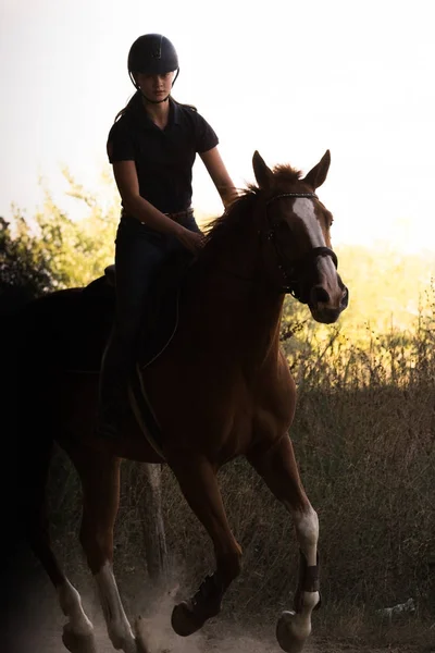 Joven chica bonita montando un caballo con hojas retroiluminadas detrás — Foto de Stock