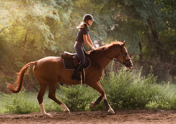 Mooi meisje berijden van een paard met achtergrondverlichting achterlaat — Stockfoto
