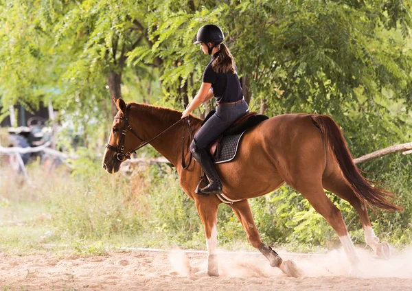 Menina bonita nova montando um cavalo com folhas retroiluminadas para trás — Fotografia de Stock