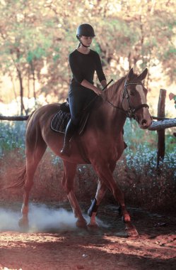 Genç güzel kız arkadan aydınlatmalı ile bir at binme bırakıyor 
