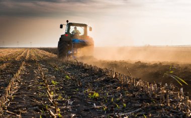 Traktör sürme alanları - kara sowings için hazırlanıyor