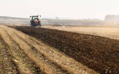 Traktör sürme alanları - kara sowings için hazırlanıyor