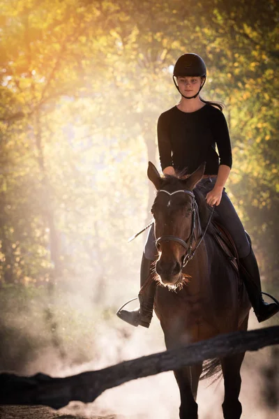 Joven chica bonita montando un caballo con hojas retroiluminadas detrás —  Fotos de Stock