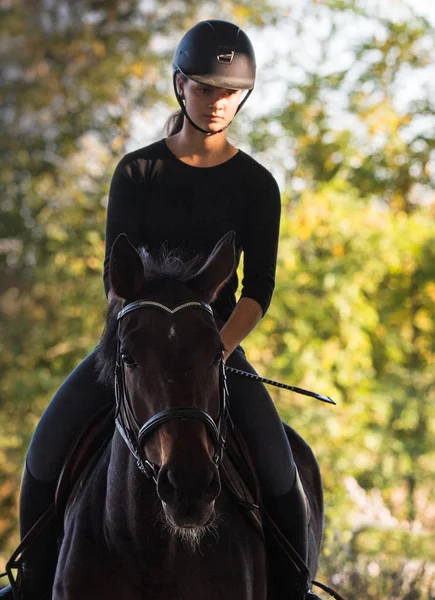 Joven chica bonita montando un caballo con hojas retroiluminadas detrás —  Fotos de Stock