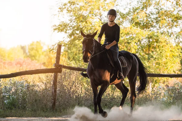 Jeune jolie fille chevauchant un cheval avec des feuilles rétroéclairées derrière — Photo