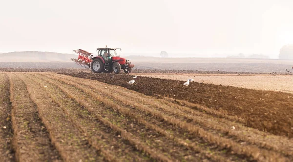 Traktor orat pole - příprava půdy pro výsev na podzim — Stock fotografie