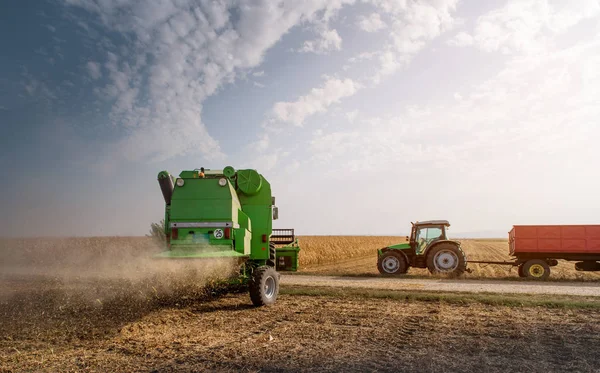 Harvesting of soybean field with combine — Stock Photo, Image