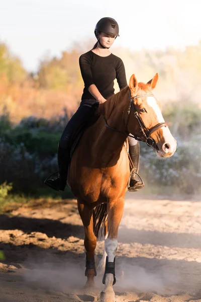 Joven chica bonita - montando un caballo con hojas retroiluminadas detrás —  Fotos de Stock