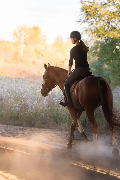 Молода красива дівчина - верхи на коні з підсвічуванням листя позаду — стокове фото