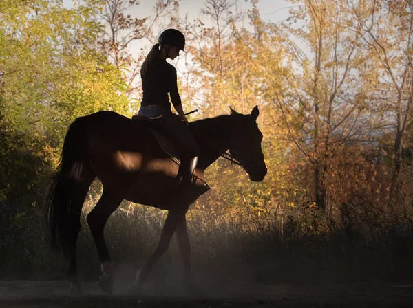 Young pretty girl - riding a horse with backlit leaves behind — Stock Photo, Image