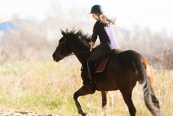 Young pretty girl - riding a horse in winter morning — Stock Photo, Image