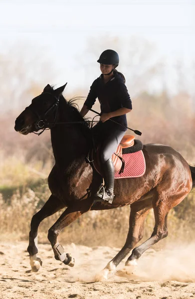 Menina bonita nova - montando um cavalo na manhã de inverno — Fotografia de Stock