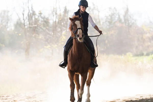 Jeune jolie fille - monter à cheval le matin d'hiver — Photo