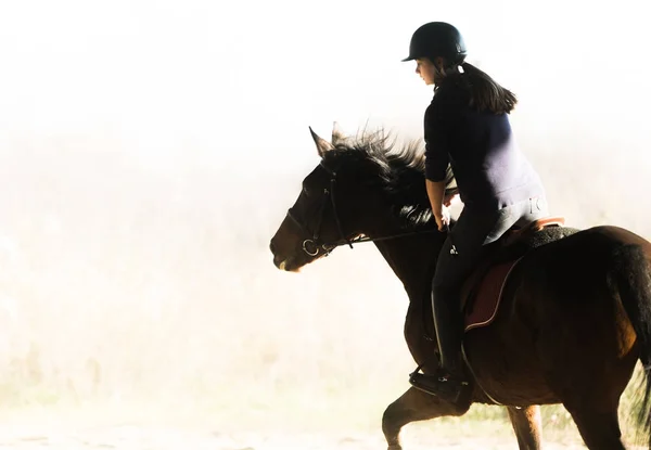 Joven chica bonita - montar a caballo en la mañana de invierno —  Fotos de Stock