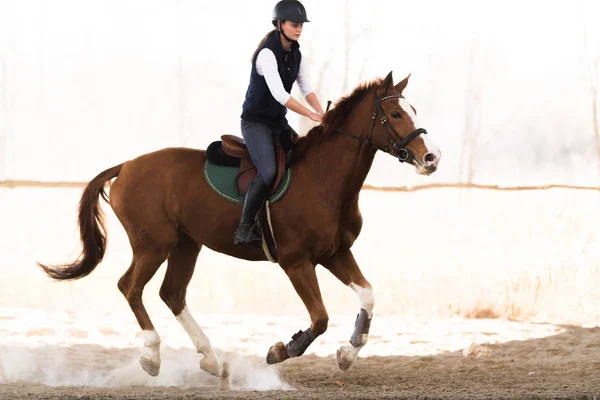 Young pretty girl - riding a horse in winter morning — Stock Photo, Image