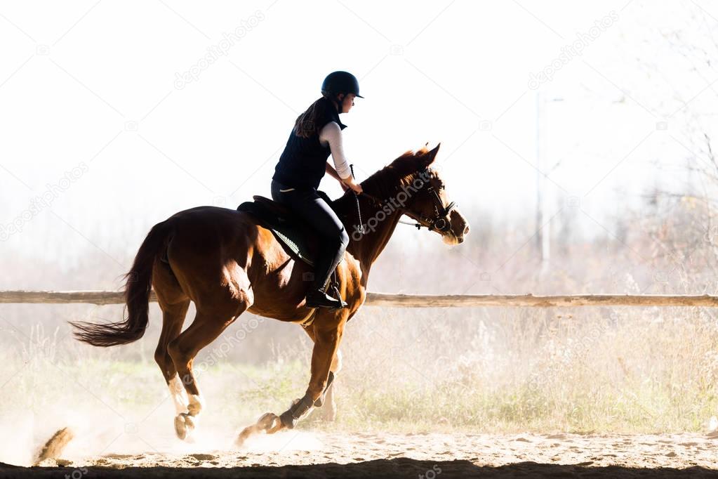 Young pretty girl - riding a horse in winter morning