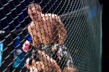  MMA boksörler fighters mücadele halka o kurallar olmadan kavgalarına